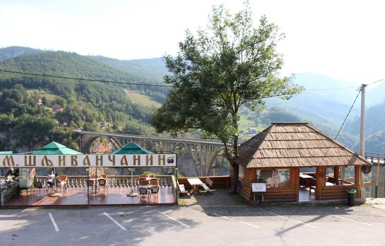 Tara Bridge Castle Hotell Žabljak Eksteriør bilde
